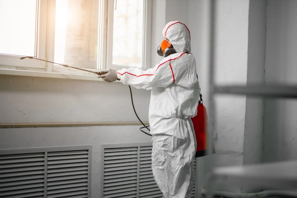 Professional mold remediation services in Manning, OR